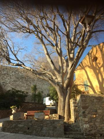Logement Neuf Centre Du Village Aux Pieds Du Chateau Grimaud Ngoại thất bức ảnh